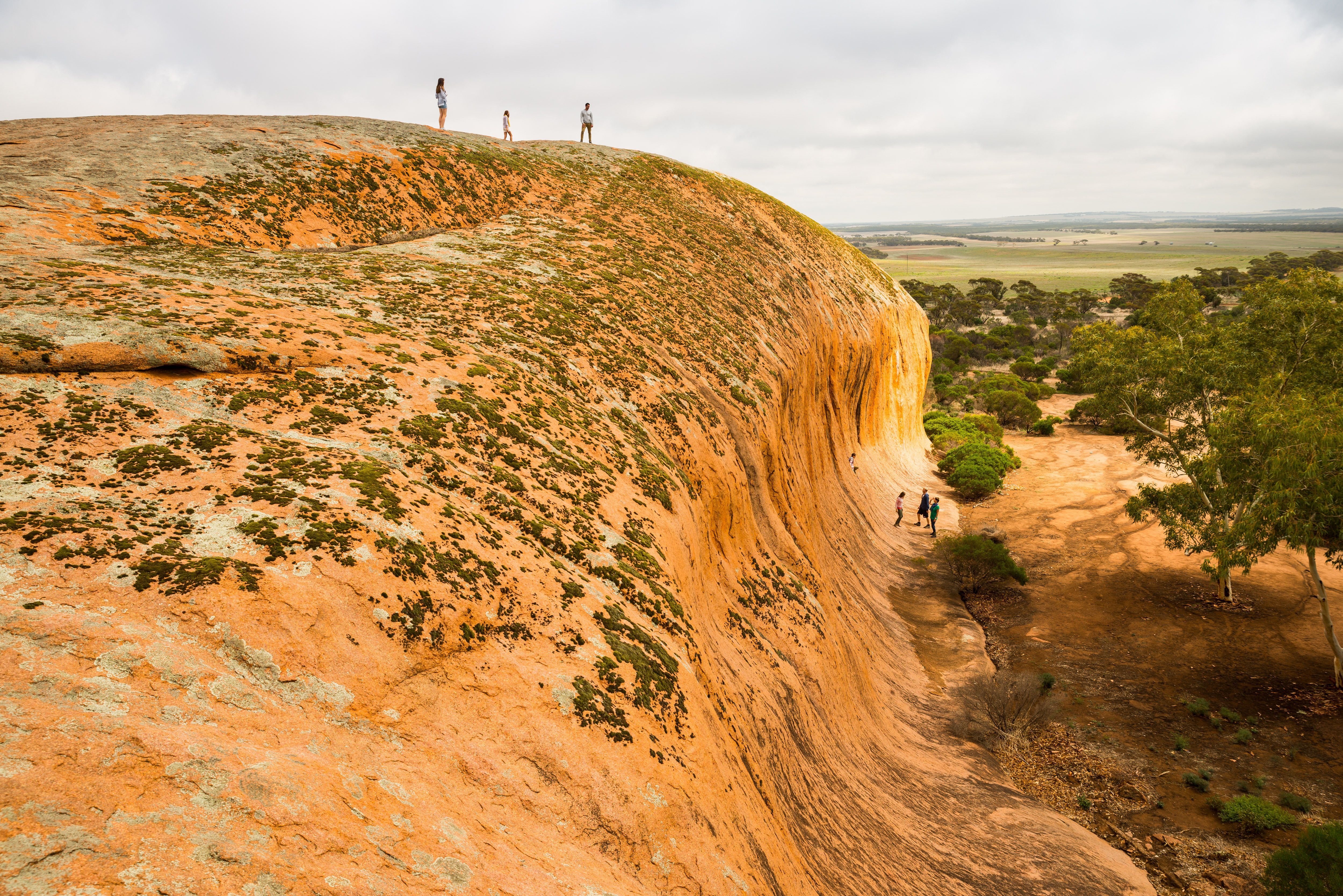 GAWLER RANGES - Don’t miss Australia while you’re in Australia and Sea Lions